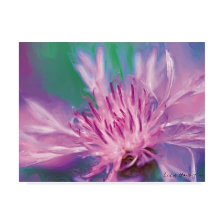 Lola Henry 'Painterly Flower Viii' Canvas Art,14x19